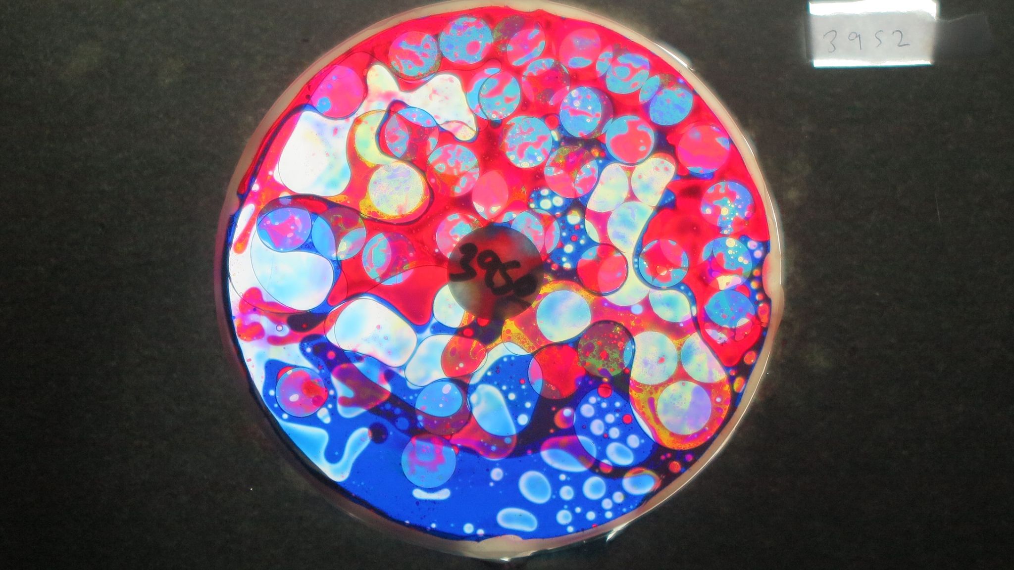 Sold Wheels Updated Sep 2025